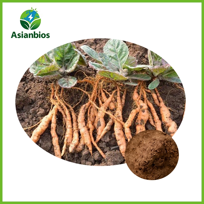 radix rehmanniae extract